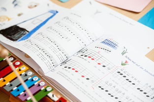 米兰体育(中国大陆)官网-中小学教师发展支持,中国中小学教师发展报告