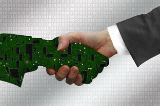 ac米兰足球官网-全民健身路径与区域经济协同发展研究,全民健身路径是我国体育事业发展中的一个新生事物