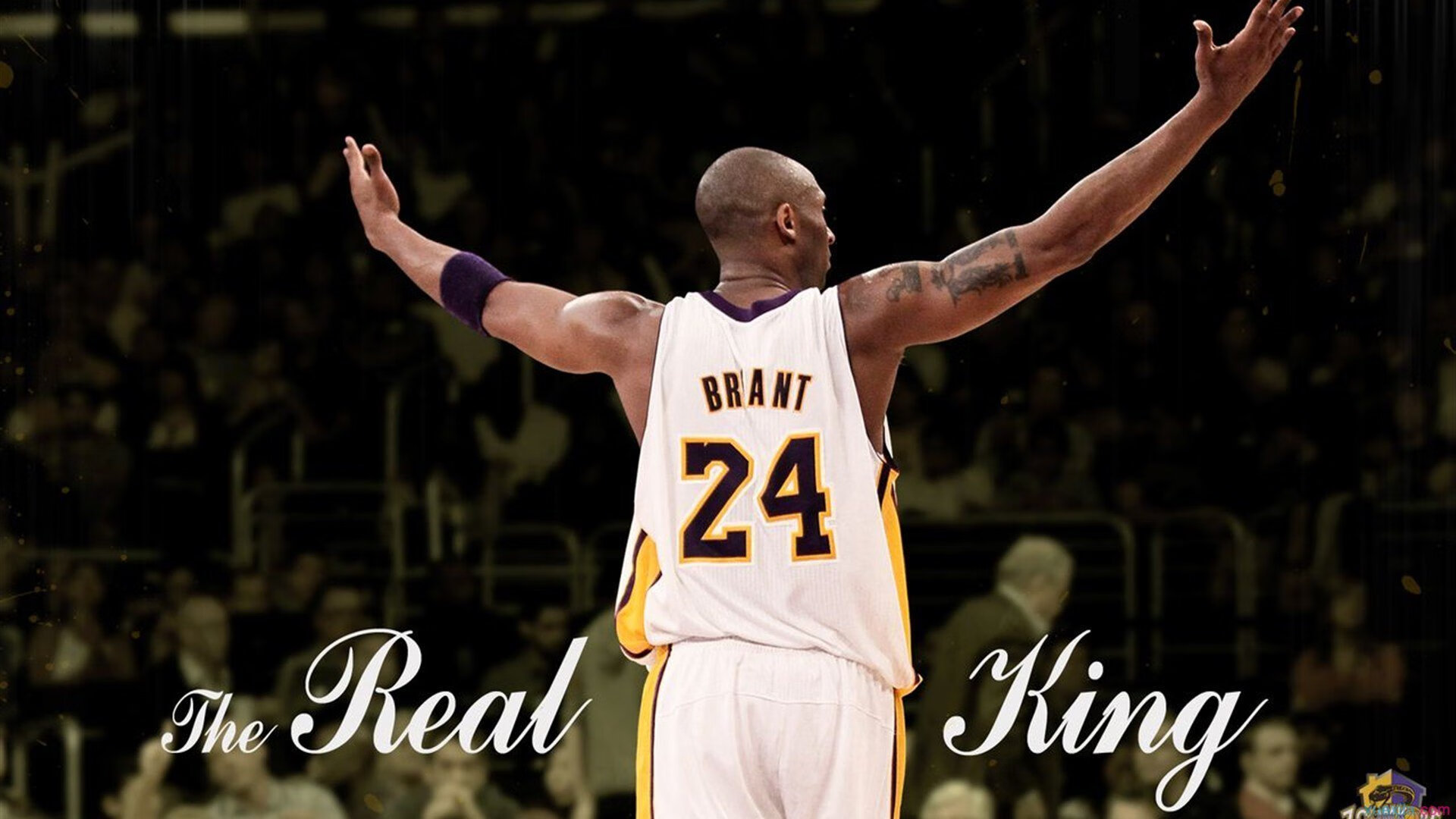 米兰电竞-NBA联盟VR观赛技术在用户留存中的作用,vr看比赛