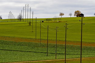 AC Milan-法甲球员比赛压力下技术动作选择的应激反应研究,法甲青训